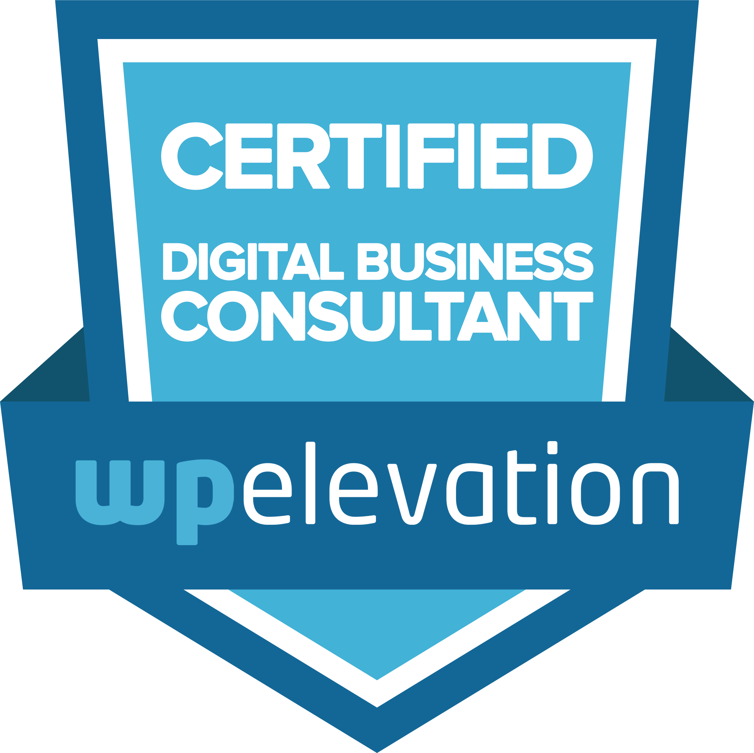 FLYNG 'OKOLE Chelsea Kohl Certified Digital Business Consultant from wpElevation on the About and Contact page.