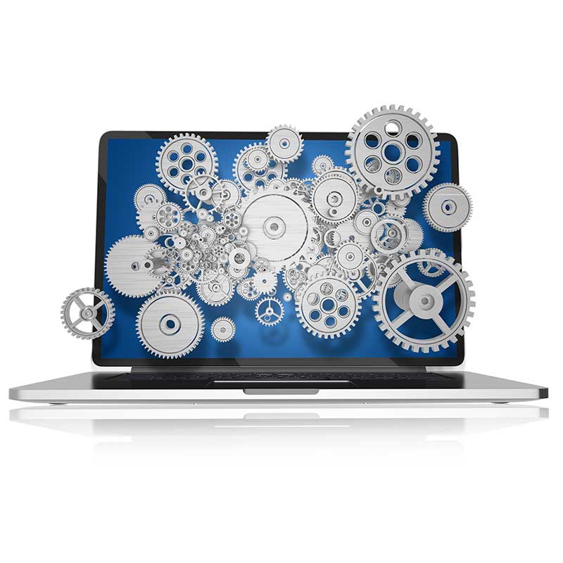 FLYING 'OKOLE Support Time image on the WordPress Website Care Plans page.