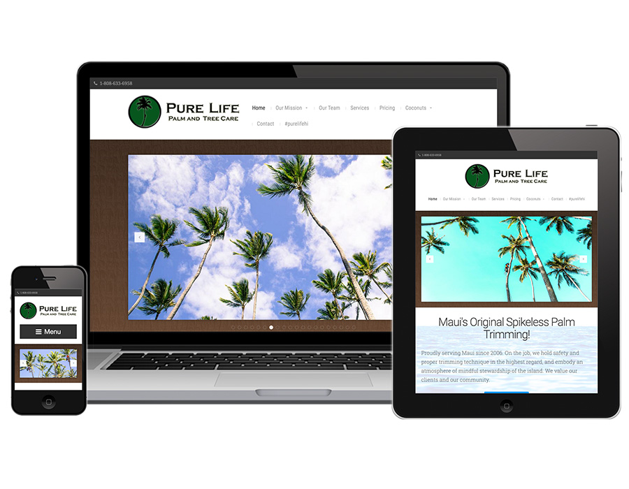 FLYING 'OKOLE website design for Pure Life Palm and Tree Care on the Branding, Websites & Marketing Our Work page.