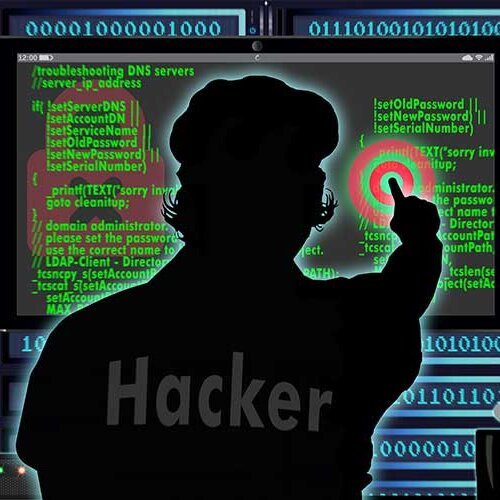 FLYING 'OKOLE all software is vulnerable image on the WordPress Website Care Plans page.